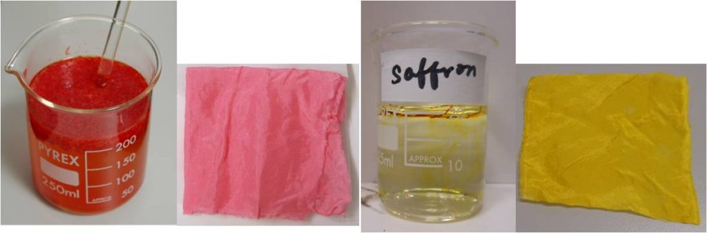 Dye solutions and dyed silks of hong hua 紅花 (safflower, left) and fan hong hua 番紅花 (saffron, right) ©Jing Han